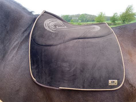 equitex saddle pad - traditional saddle pad.